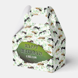 Ballotins Ant Insects Bugs Déplaisant Crawly Créatures