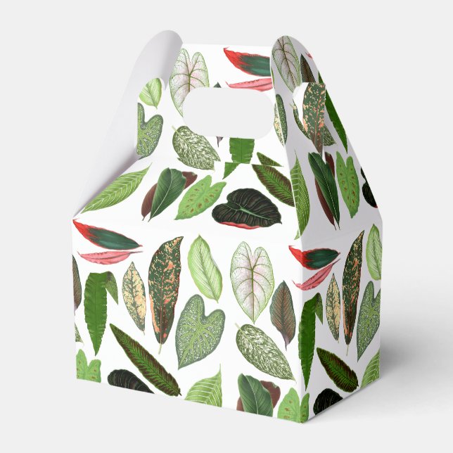 Ballotins Aquarelle botanique Vintage verdure Feuilles (Verso)