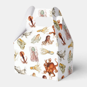 Ballotins Aquarelle Octopus Cephalopod Océan Animaux