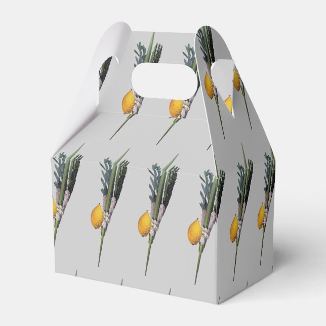 Ballotins Arba Minim - Lulav, Esrog, Hadas et Aravah (Arrière)