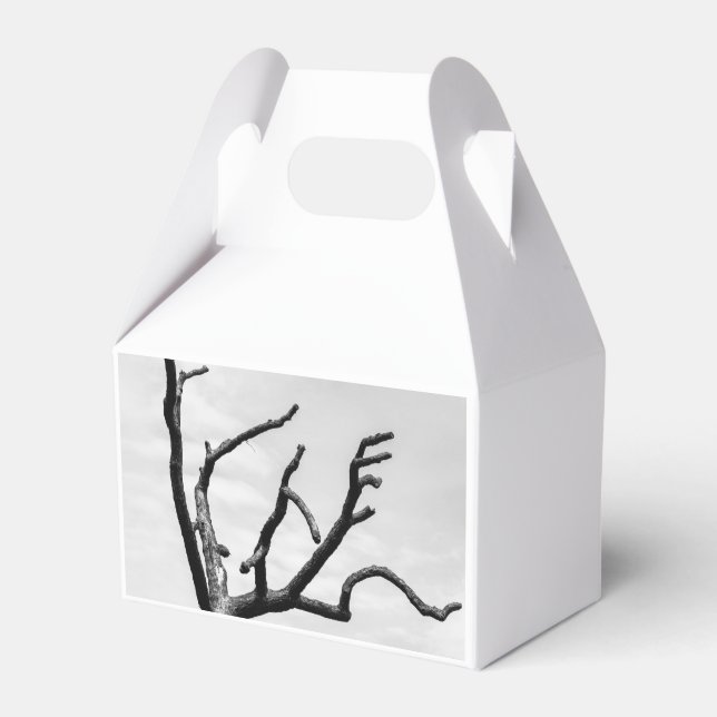 Ballotins arbre libre (Verso)