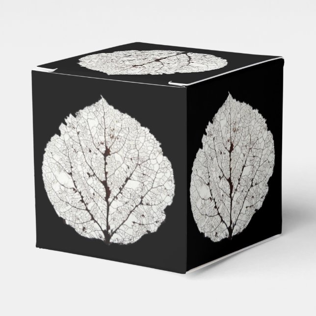 Ballotins Aspen Feuille Squelette 1 (Verso)