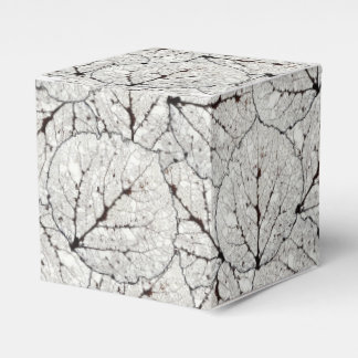 Ballotins Aspen Feuille Squelette 1