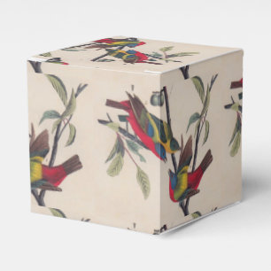 Ballotins Audubon Peint Bunting Bird Wildlife