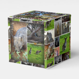 Ballotins Australian Wildlife Collection,