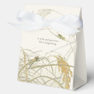 Ballotins Baby Shower Thème Sauterelle Vintage