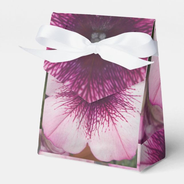 Ballotins Baisers (Verso)