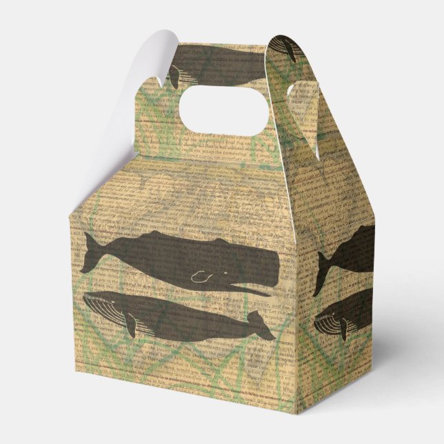 Ballotins Baleine antique Vie marine (Verso)