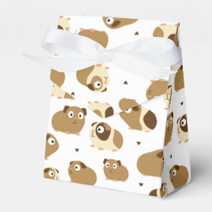 Ballotins Ballotin de cochons de Guinée mignon