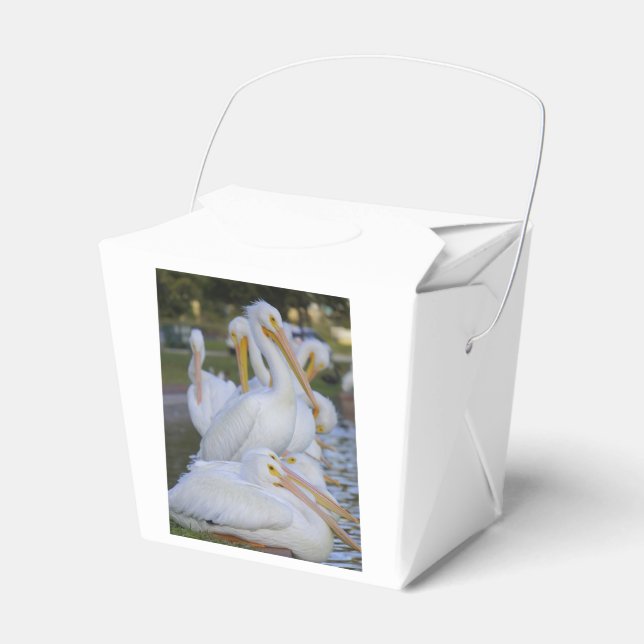 Ballotins Ballotin Pile Pélican (Verso)