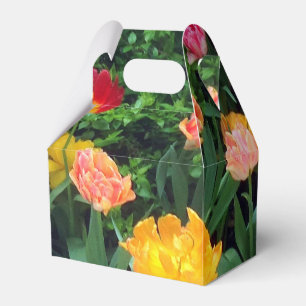 Ballotins Ballotin Tulip de printemps