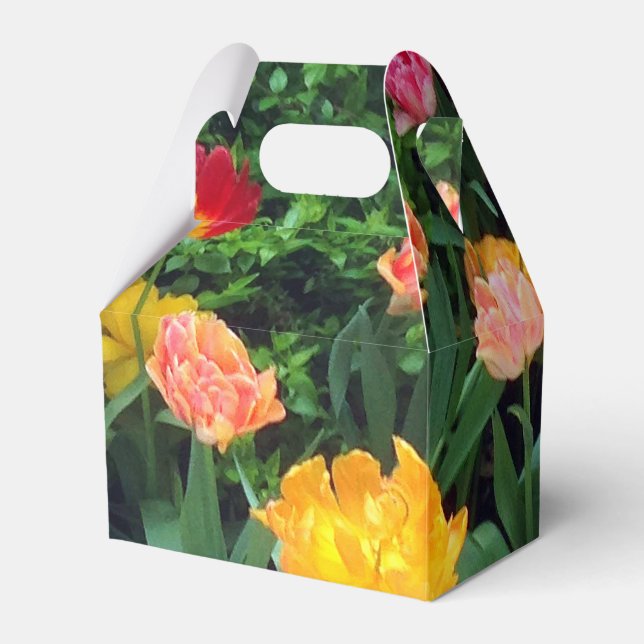 Ballotins Ballotin Tulip de printemps (Verso)