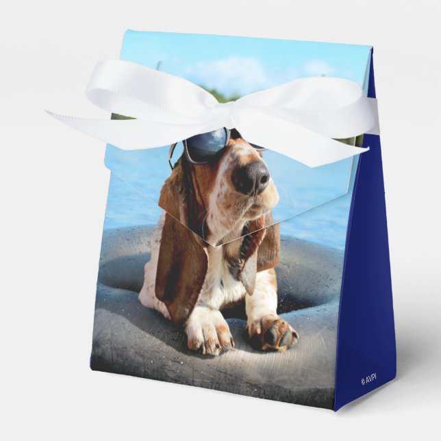 Ballotins Basset Hound Dans Les Lunettes De Soleil (Verso)