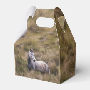 Ballotins Beau Cheval gris coloré