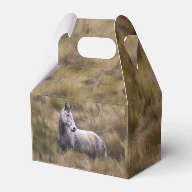 Ballotins Beau Cheval gris coloré (Verso)