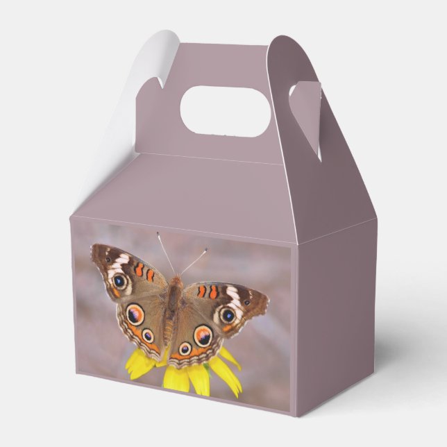 Ballotins Beau papillon sur fleur jaune  (Verso)