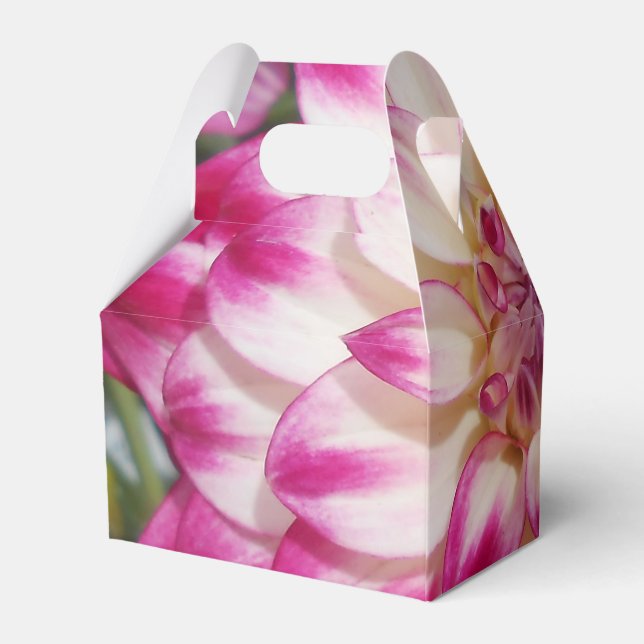 Ballotins Beaux (Arrière)