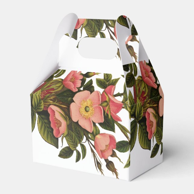 Ballotins Belle Botanique rose Rose vintage (Verso)