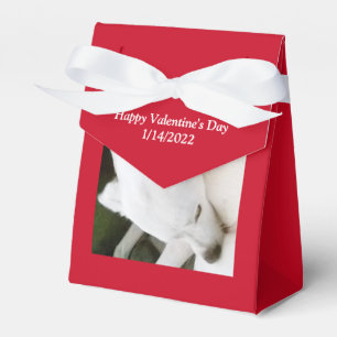 Ballotins Belle Polar White Chien Rouge Saint Valentin Favo