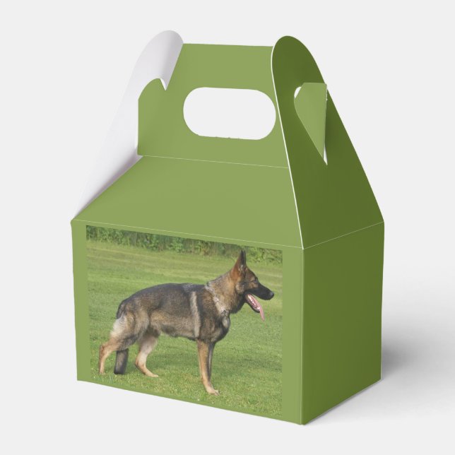 Ballotins Berger Allemand Sable Complet (Verso)