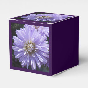 Ballotins Berlinette