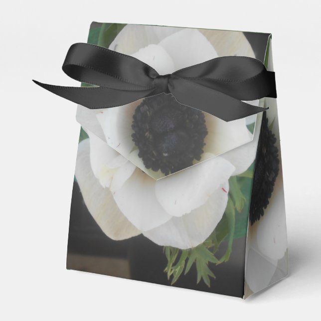 Ballotins Blanchard (Verso)