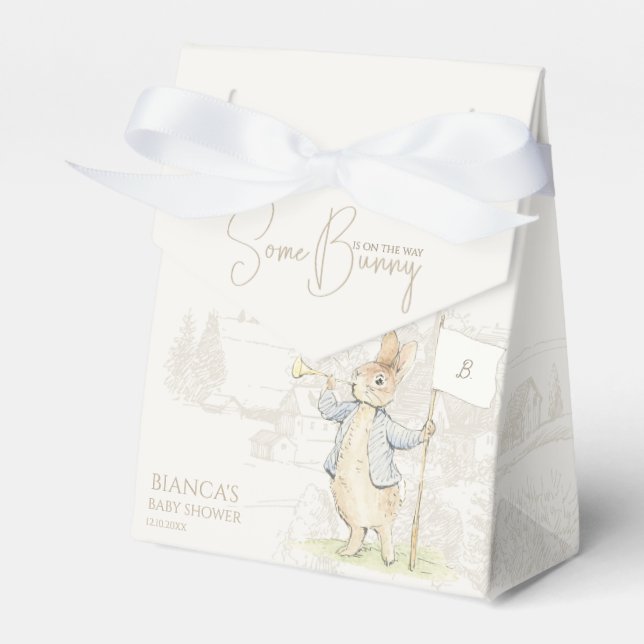 Ballotins Bleu Pierre le lapin Un Baby shower lapin (Verso)