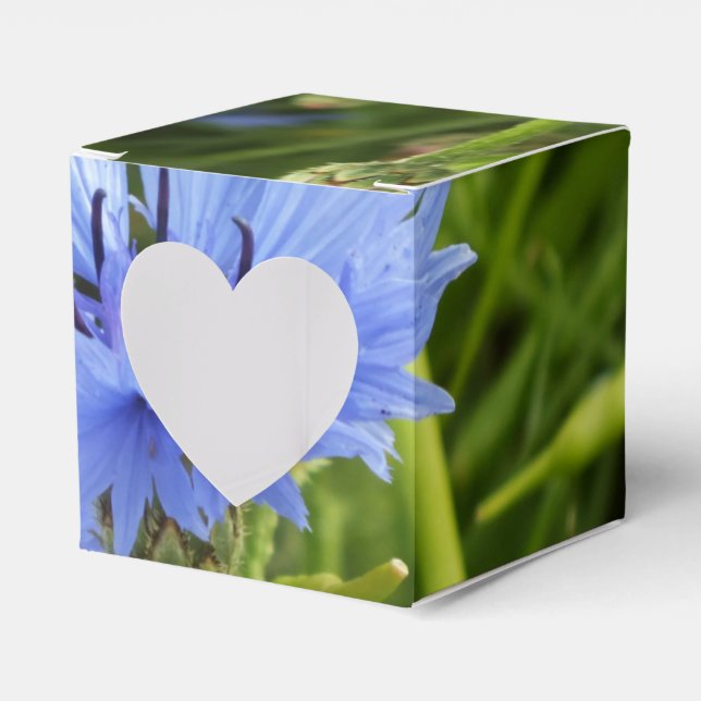 Ballotins bleuet bleu (Verso)