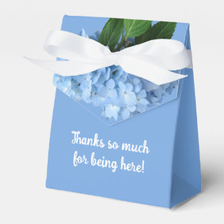 Ballotins Blue Hydrangea Wedding shower Floral Merci