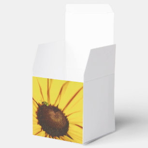 Ballotins Blue Ridge Black Eyed Susan