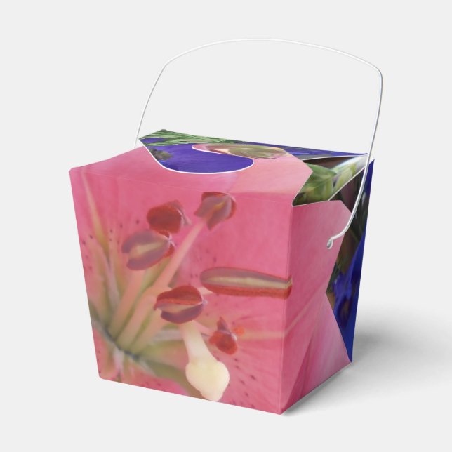 Ballotins Bodichon (Verso)