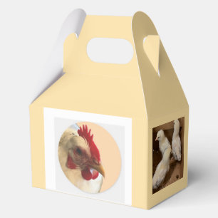 Ballotins Boîte de faveur de poussin