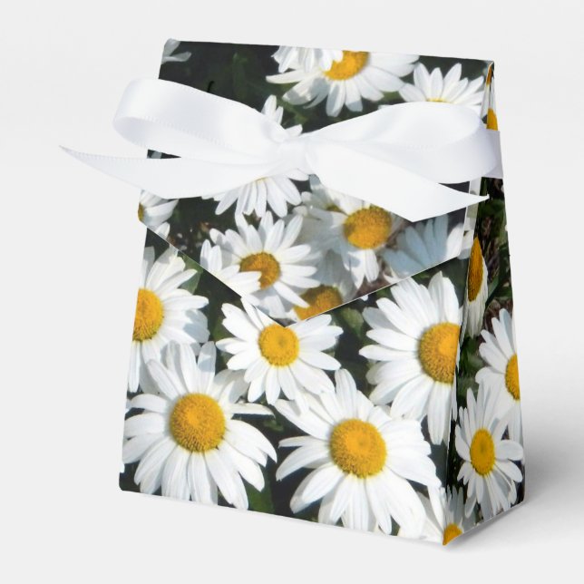 Ballotins Boîte de faveur de soleil de marguerite (Verso)