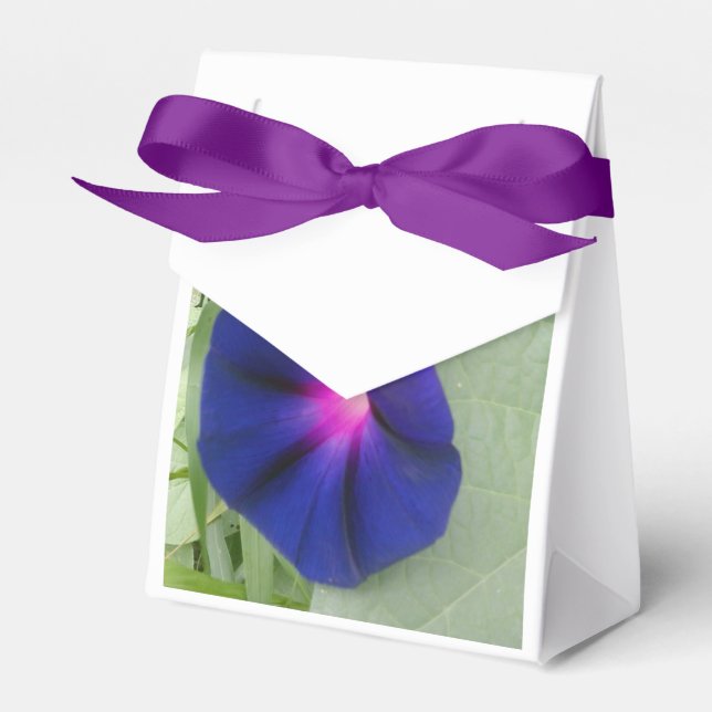 Ballotins Boîte de faveur florale (Verso)