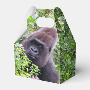 Ballotins Boîte de préférence du parti Gorilla