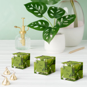Ballotins Boîte verte Feuille mariage Favor