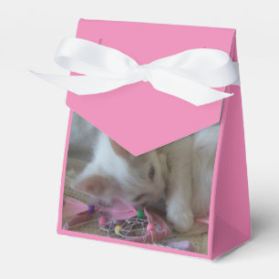 Ballotins Boîtes de faveur de chaton blanc