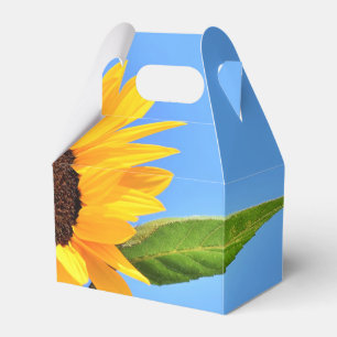 Ballotins Boîtes préférées avec Tournesol