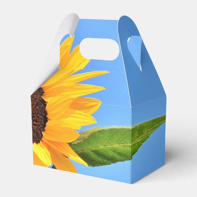 Ballotins Boîtes préférées avec Tournesol (Verso)