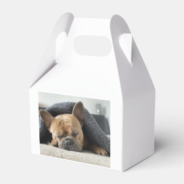 Ballotins bouledogue français sous la couverture  (Verso)