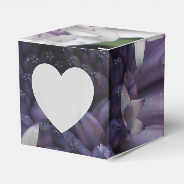 Ballotins Brett (Verso)