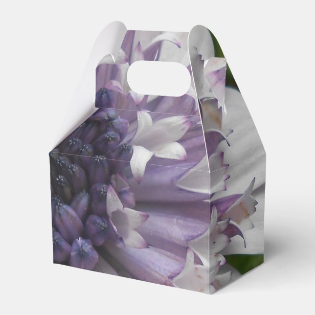 Ballotins Brett (Verso)