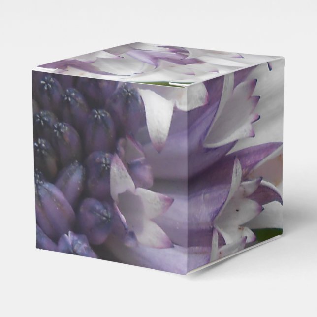 Ballotins Brett (Verso)