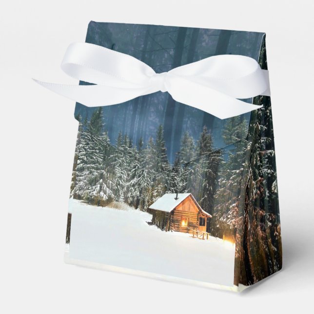 Ballotins Cabine de journal (Verso)