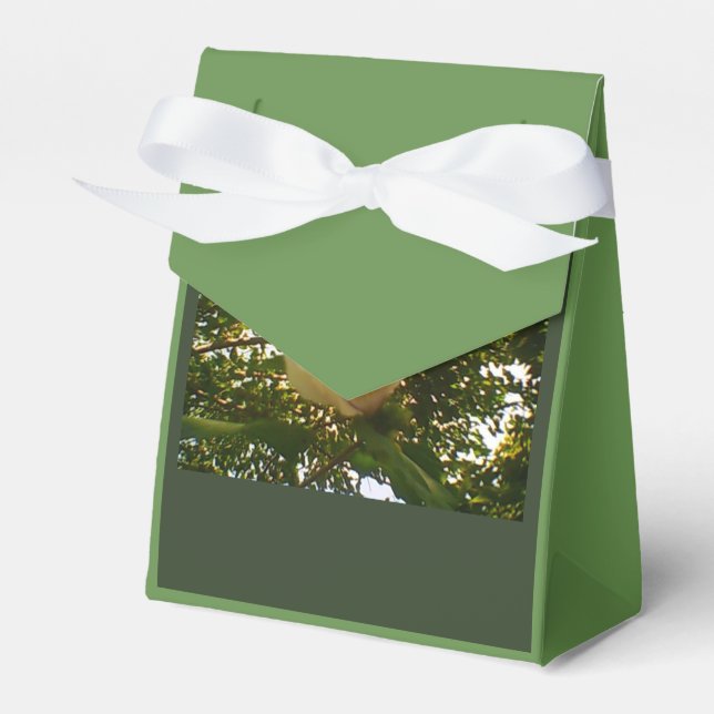 Ballotins Cadeau au ruban blanc Rose (Verso)