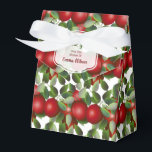 Ballotins Cadeau de cantine aux fruits rouges des pommes<br><div class="desc">Pommes rouges accrochées au milieu de feuilles verts.</div>