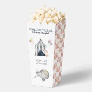 Ballotins Carnaval Circus Party Thème 1er anniversaire