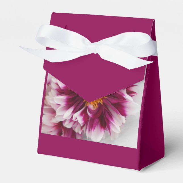 Ballotins Cartheuserine (Verso)