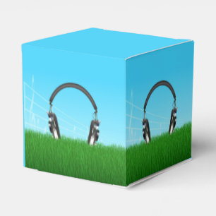 Ballotins Casque