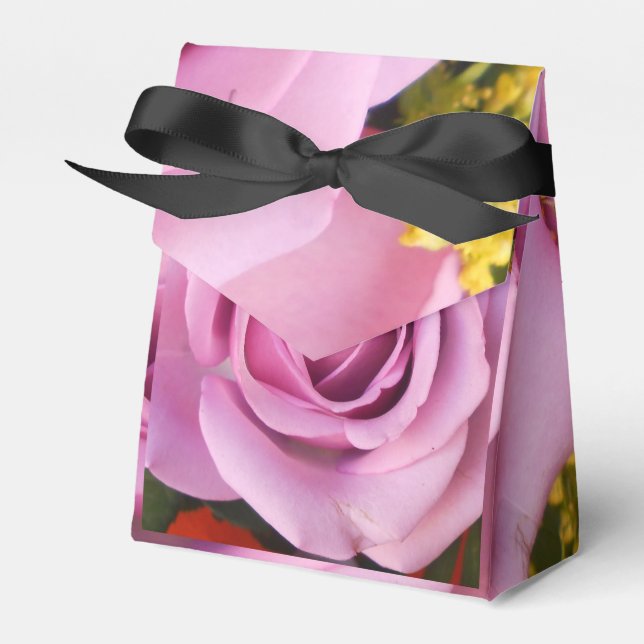 Ballotins Catejne (Verso)